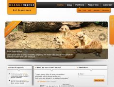 Trader reviews pros and conof Gold Prop Firm instant funding
